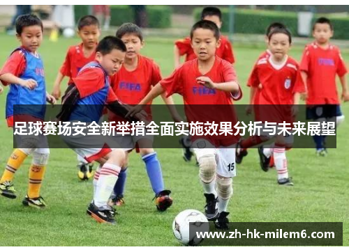 足球赛场安全新举措全面实施效果分析与未来展望
