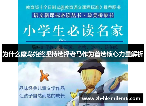 为什么魔鸟始终坚持选择老马作为首选核心力量解析