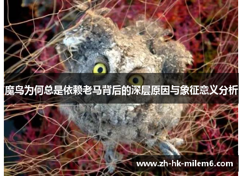 魔鸟为何总是依赖老马背后的深层原因与象征意义分析